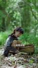 福運小烏鴉：督軍府的天降錦鯉 第1集