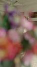 รักลวงใจ ที่1ตอน
